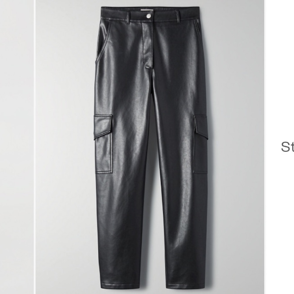 Aritzia Modern Cargo Pant